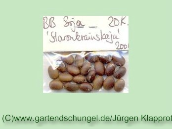 Staroukrainskaja (Sojabean)