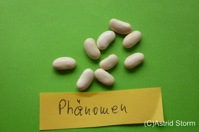 Phänomen