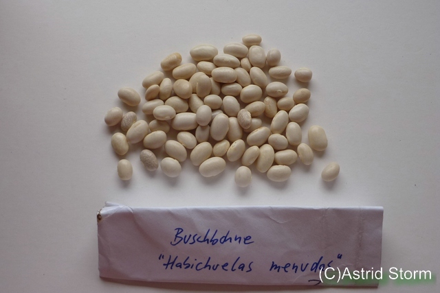 Habichuelas menudas