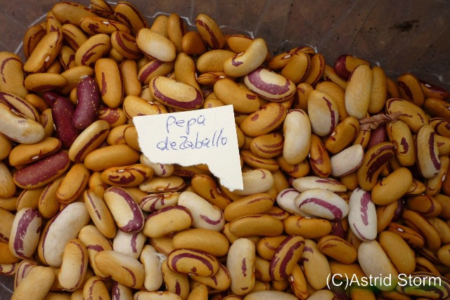 Pepa De Zaballo
