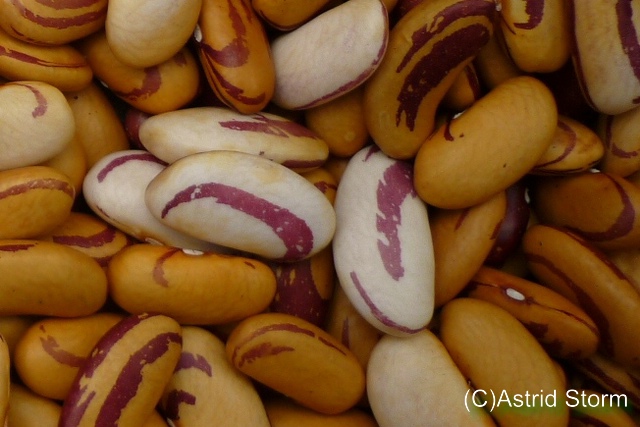 Pepa De Zaballo