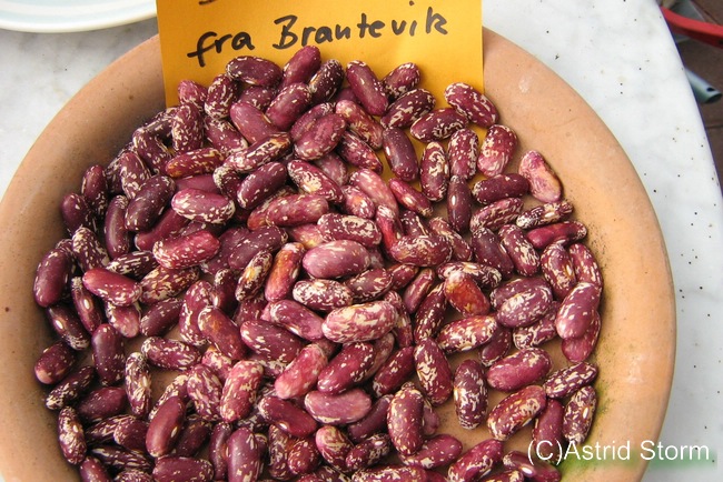 Fra Brantevik