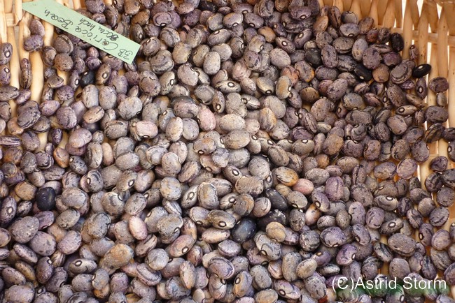 Carioca Bean
