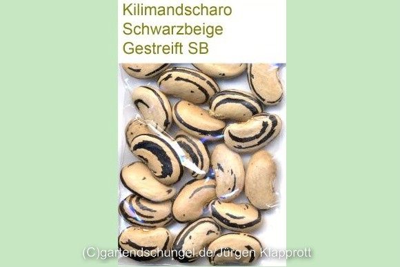 Kilimandscharo Schwarzbeige Gestreift