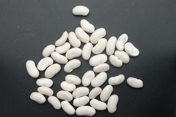 Perle von Marbach