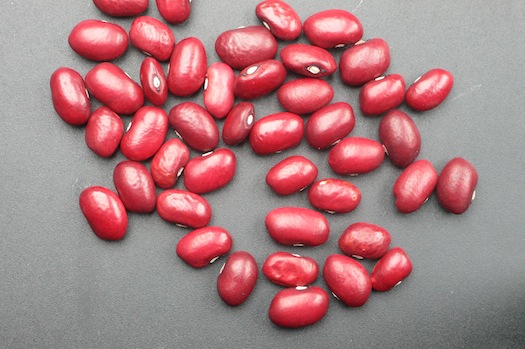 Afrikanische Rote