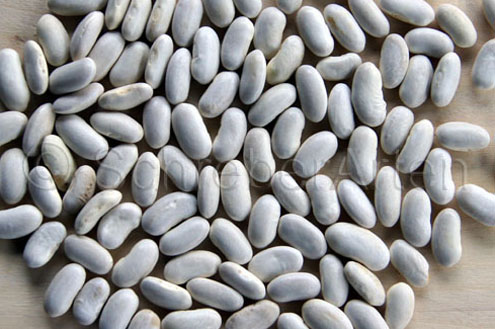 Frühe Wädenswiler